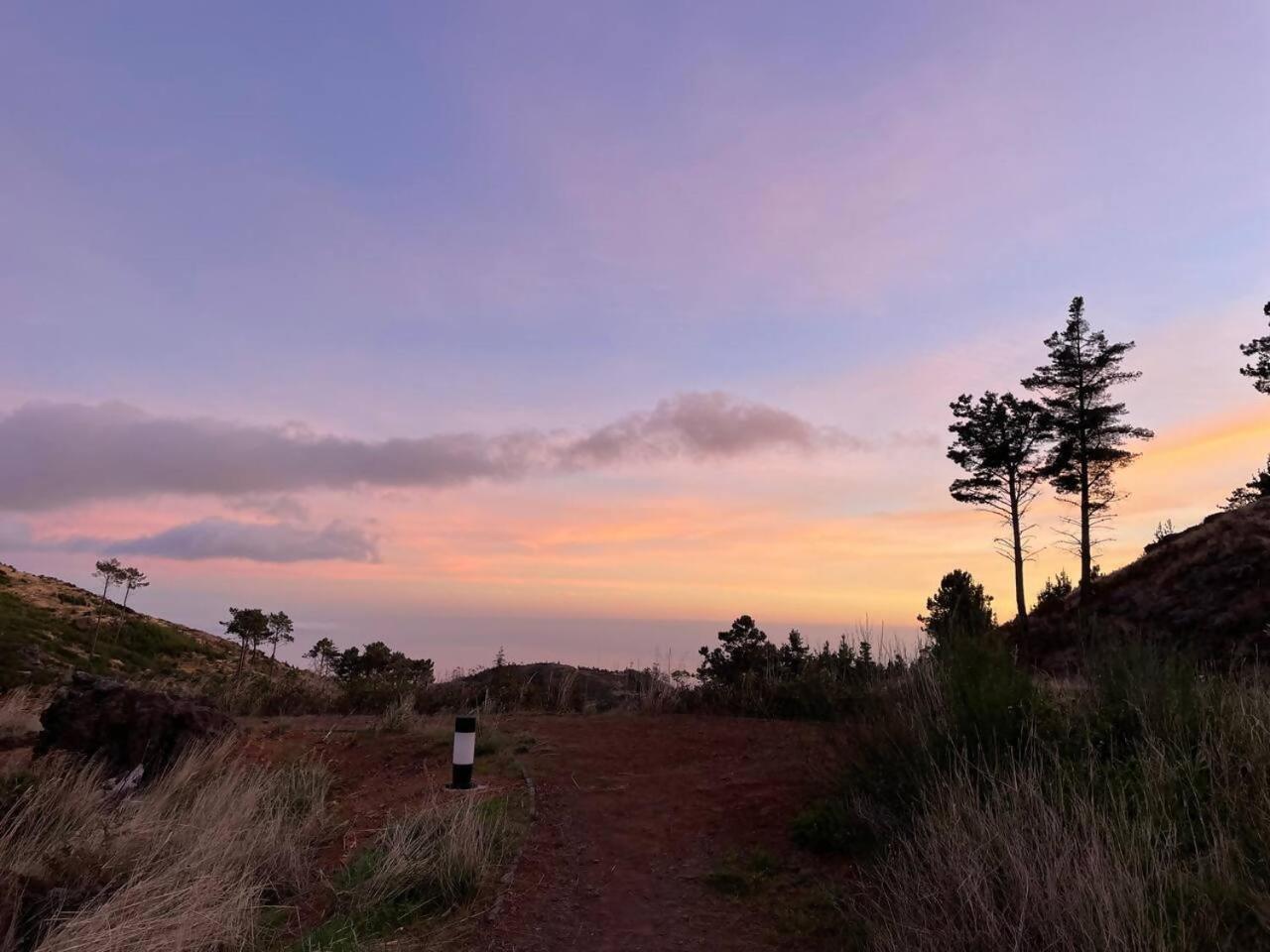 Mountain Eco Shelter 7 Hotel Funchal  Eksteriør billede